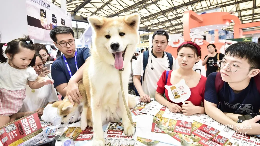 pet-fair-asia-1024x576 (1) pet-fair-asia-1024x576 (1)